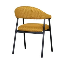 HUUS Eetkamerstoelen*Eetkamerstoel Amaze (per 2 stuks)