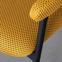 HUUS Eetkamerstoelen*Eetkamerstoel Amaze (per 2 stuks)