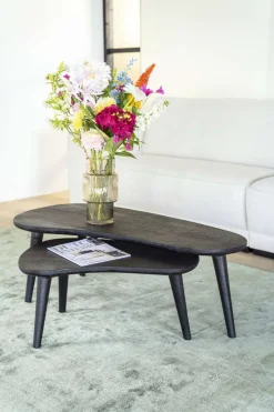 HUUS Salontafels*Salontafelset Guus